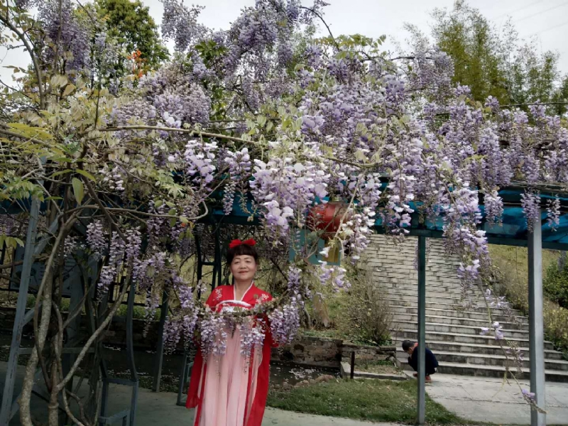 莉莉的第一张照片--寿宁征婚网